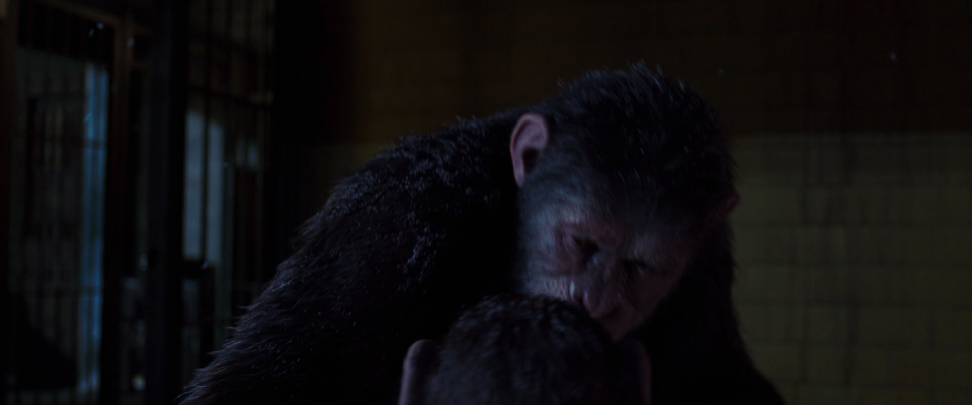 War for the Planet of the Apes (2017) HD screenshot 12956