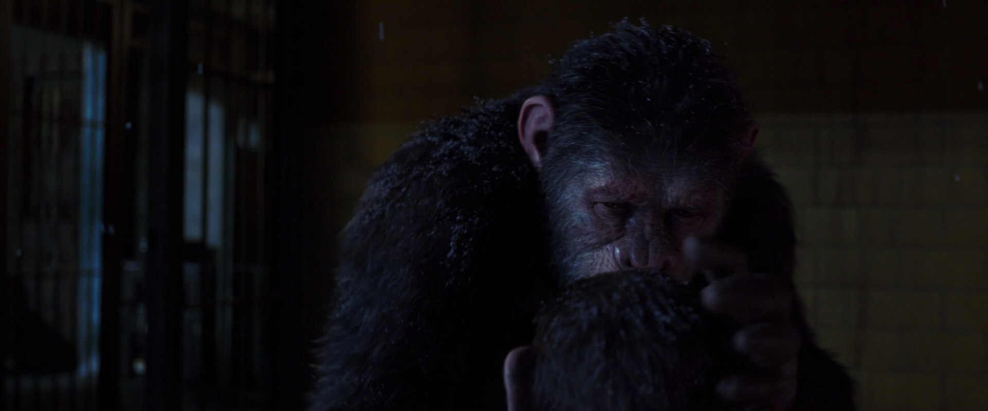 War for the Planet of the Apes (2017) screencap 12957