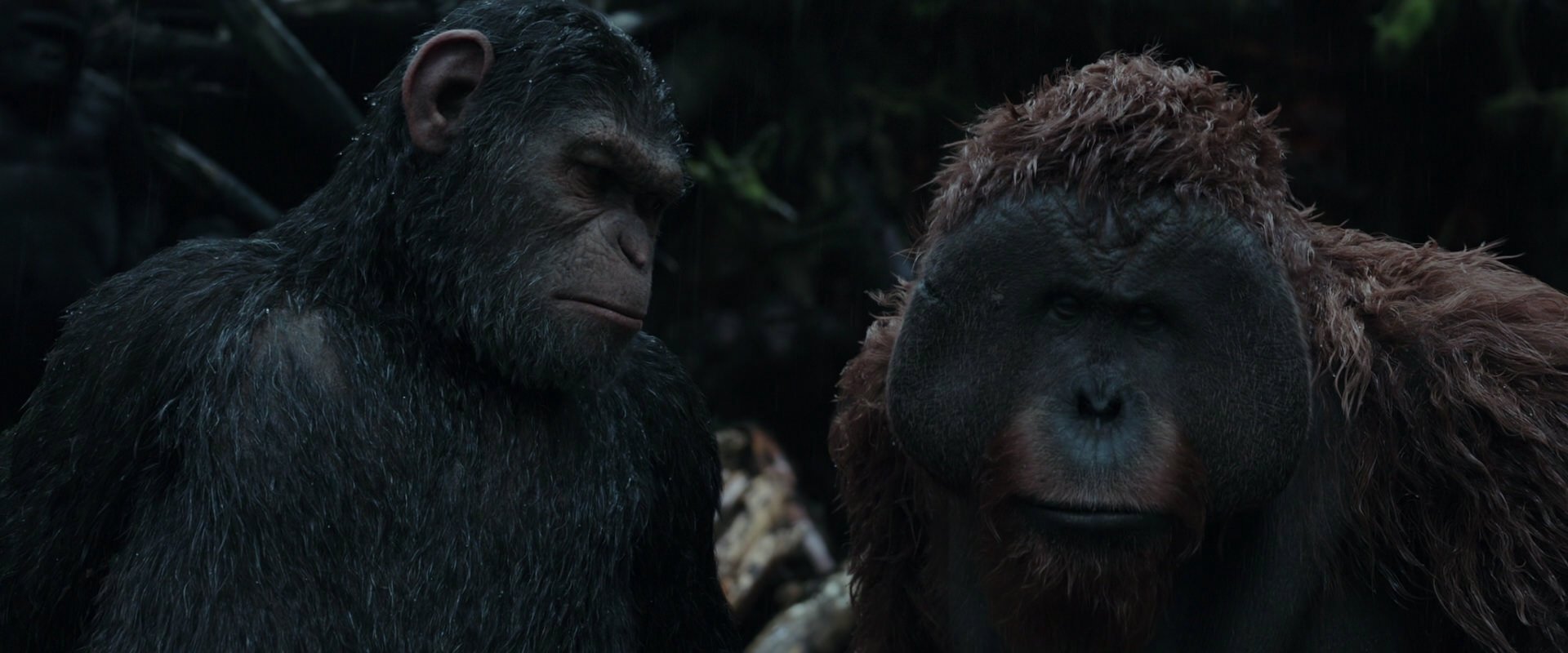 War for the Planet of the Apes (2017) screencap 1296