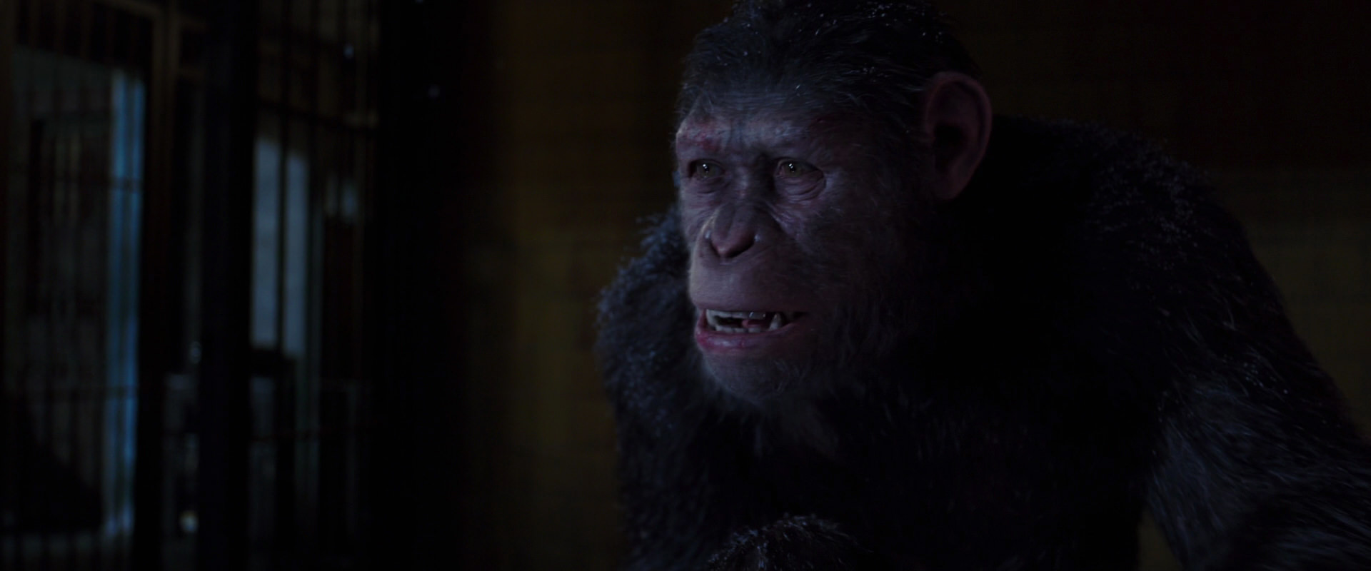 War for the Planet of the Apes (2017) movie still 12961