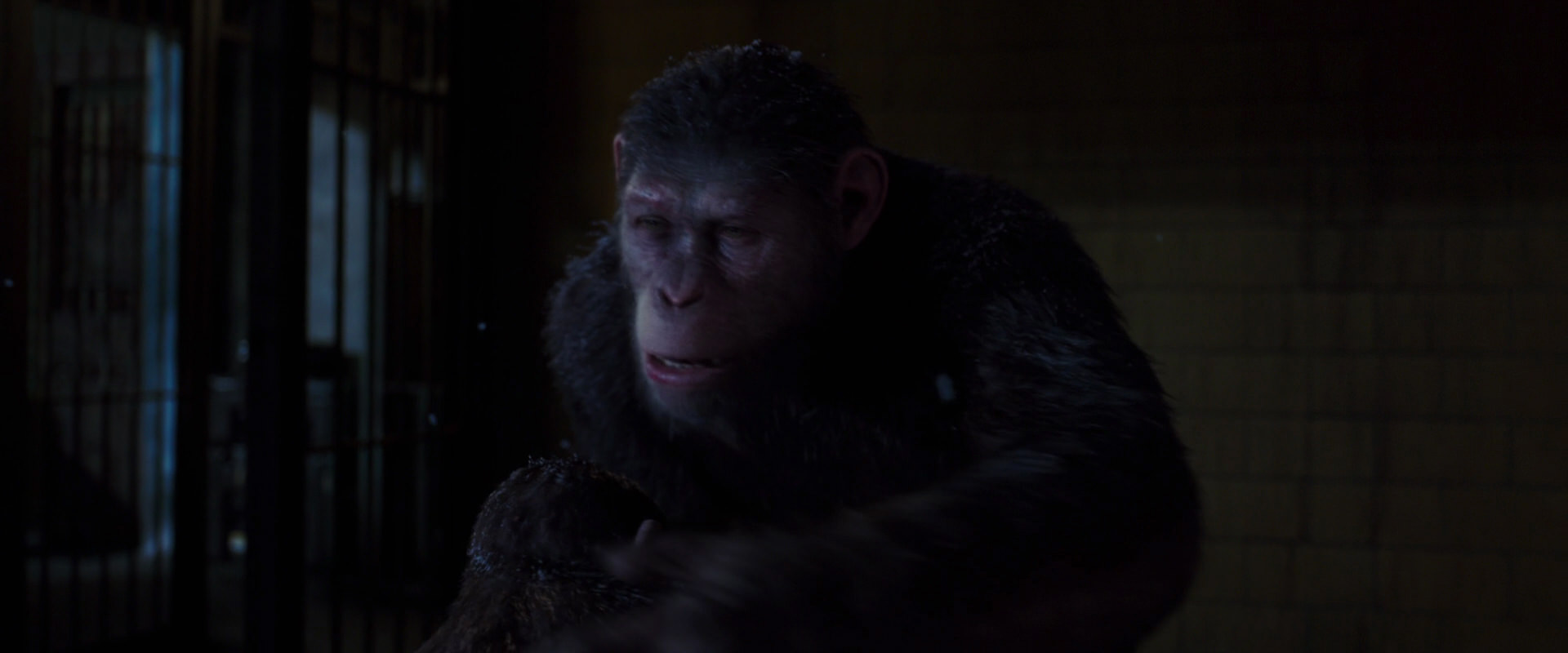 War for the Planet of the Apes (2017) screencap 12963