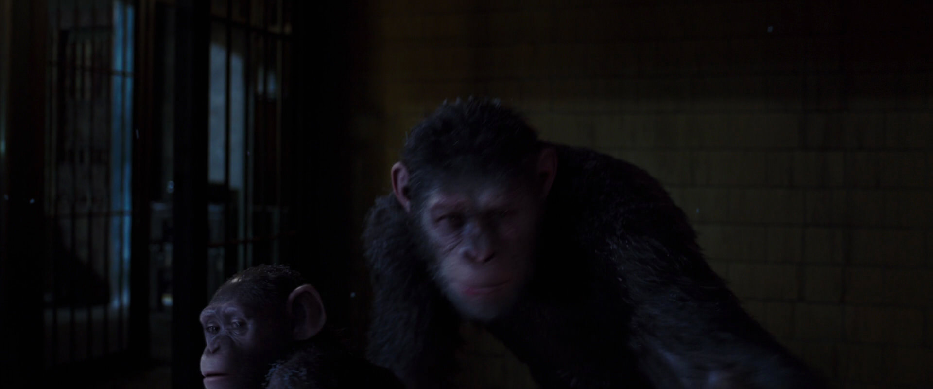 War for the Planet of the Apes (2017) movie still 12964