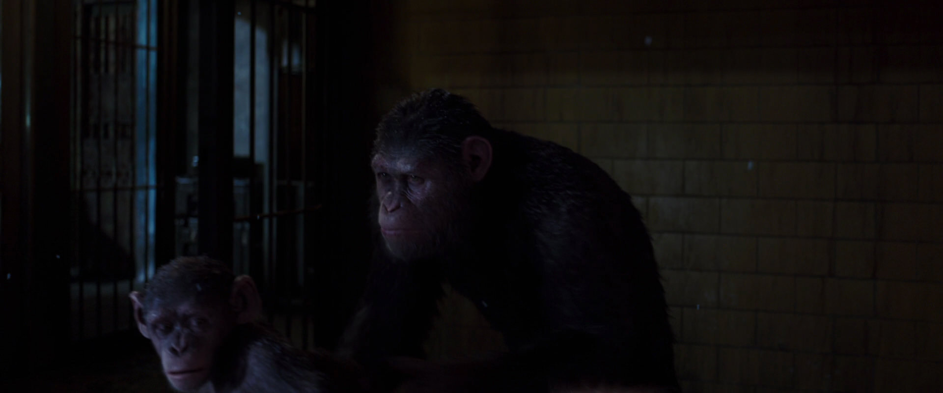 War for the Planet of the Apes (2017) HD screenshot 12965