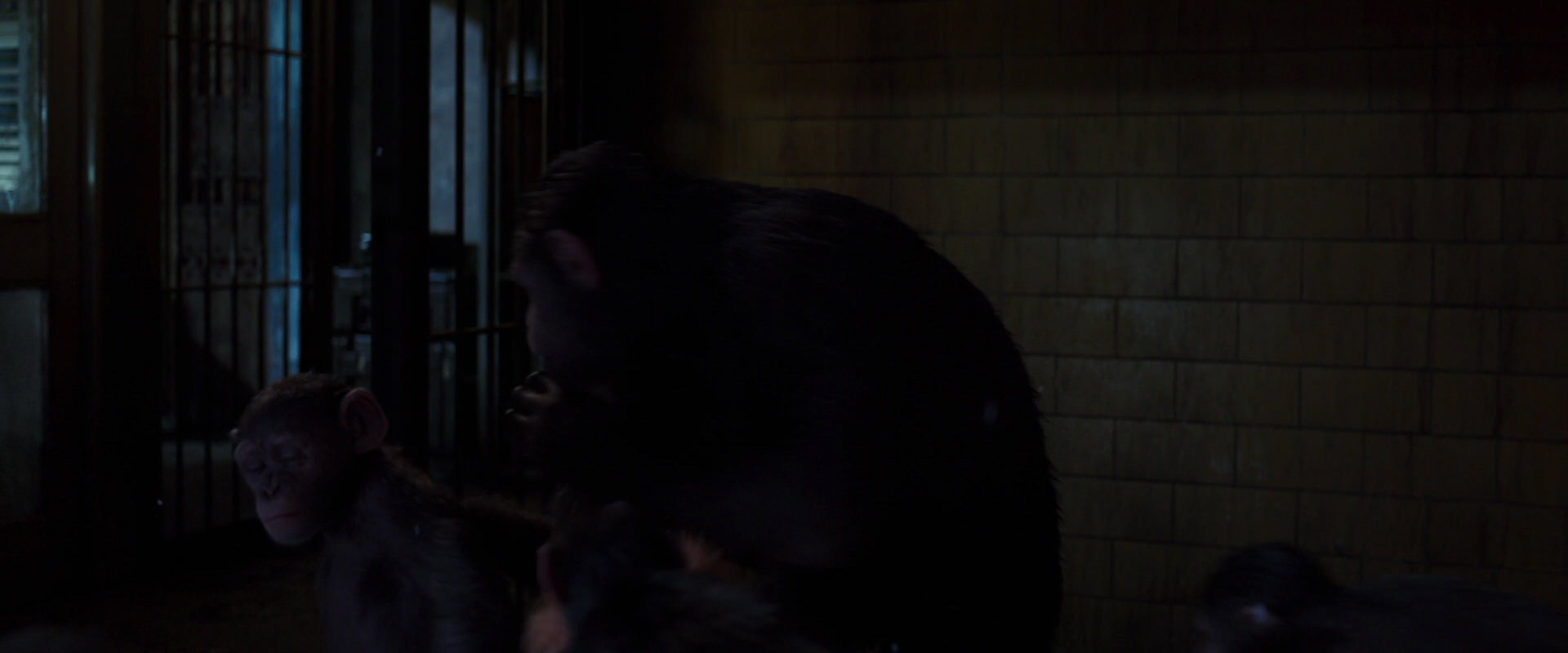 War for the Planet of the Apes (2017) screencap 12966