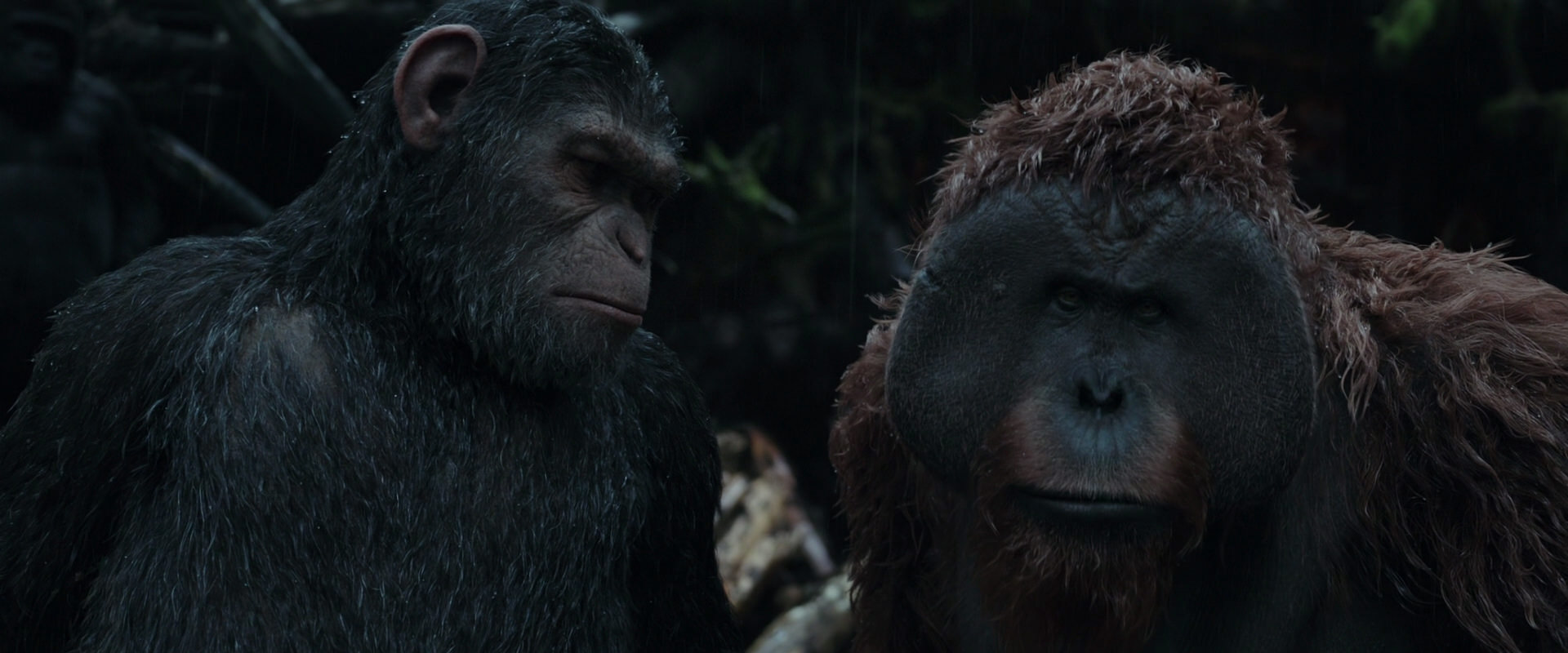 War for the Planet of the Apes (2017) movie still 1297