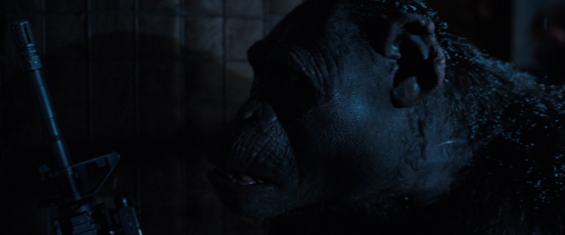 War for the Planet of the Apes (2017) screencap 12978