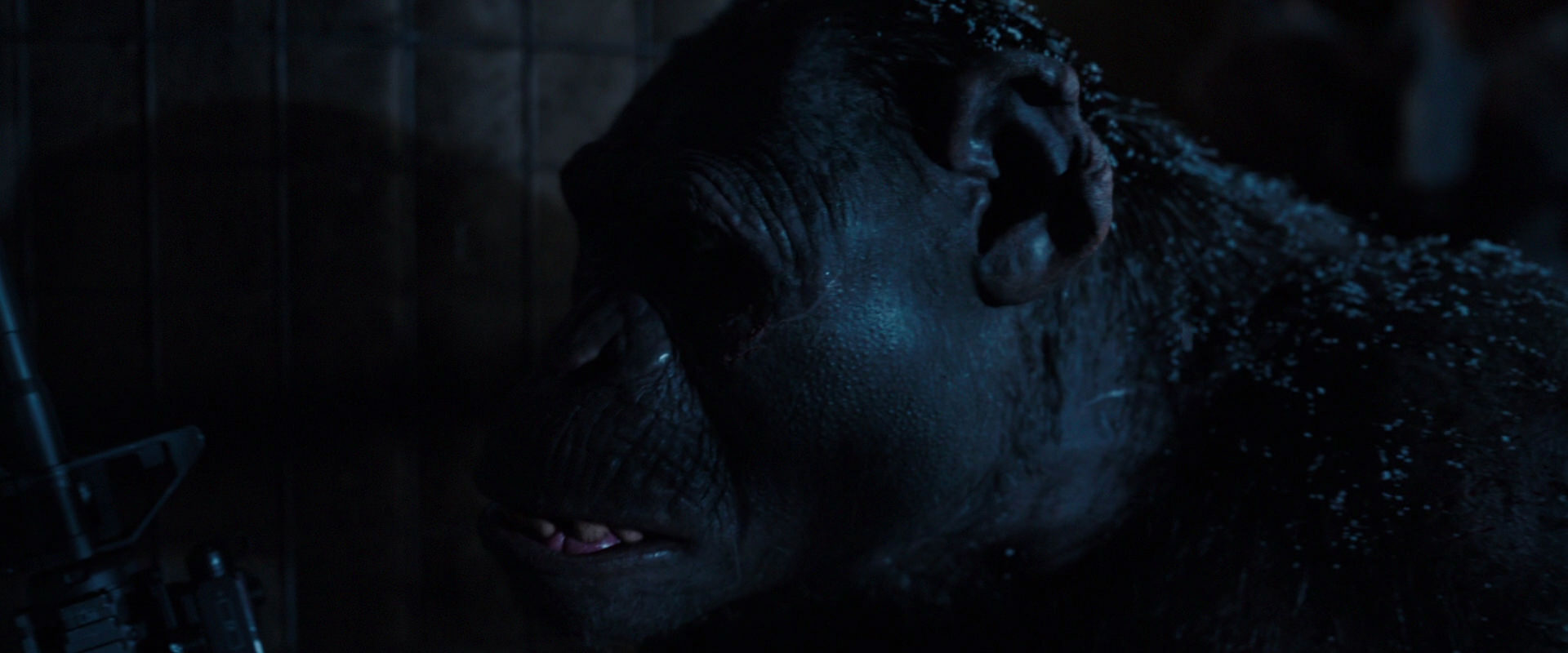 War for the Planet of the Apes (2017) movie still 12979