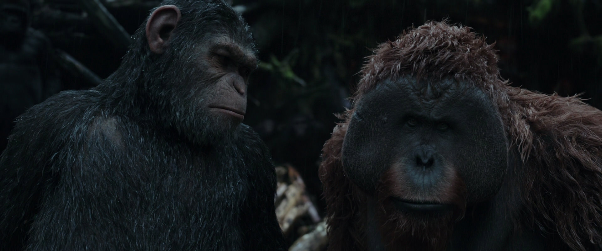 War for the Planet of the Apes (2017) HD screenshot 1298