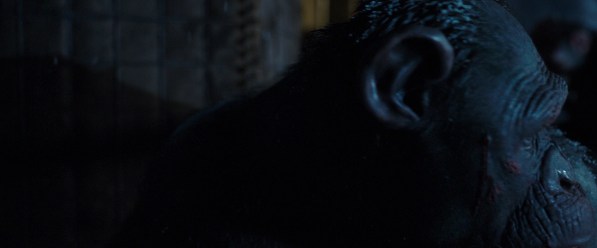 War for the Planet of the Apes (2017) screencap 12981