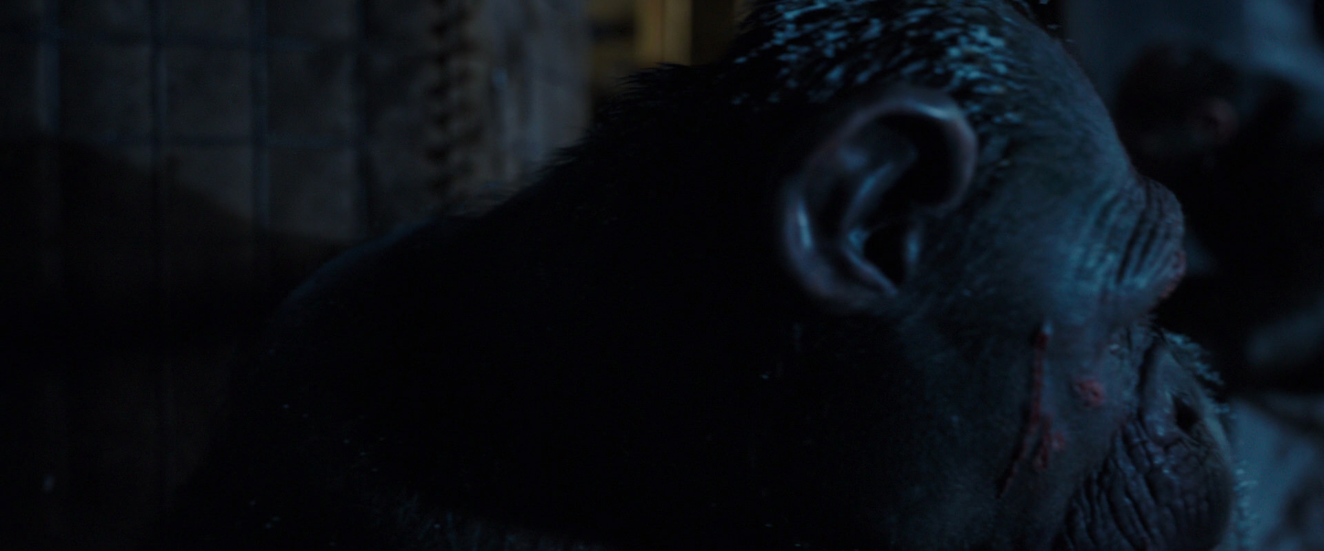 War for the Planet of the Apes (2017) movie still 12982