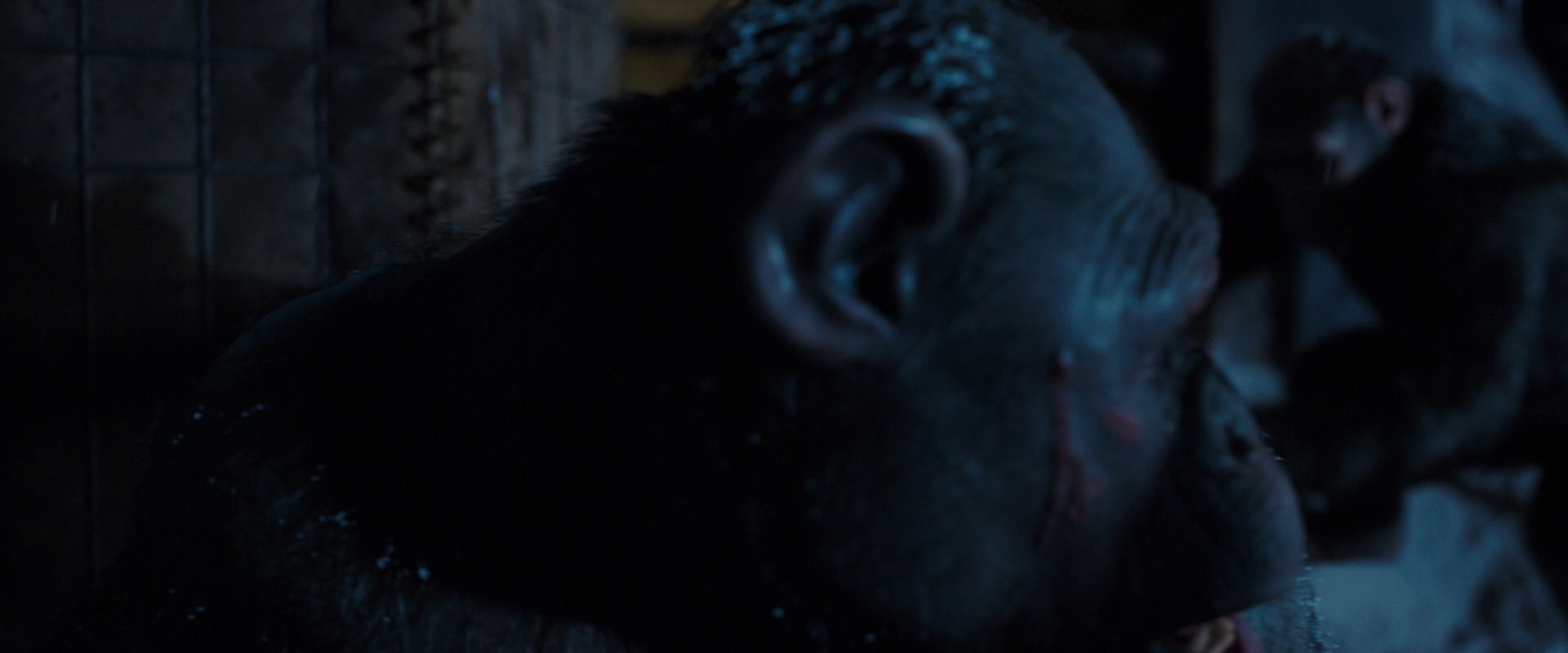War for the Planet of the Apes (2017) HD screenshot 12983