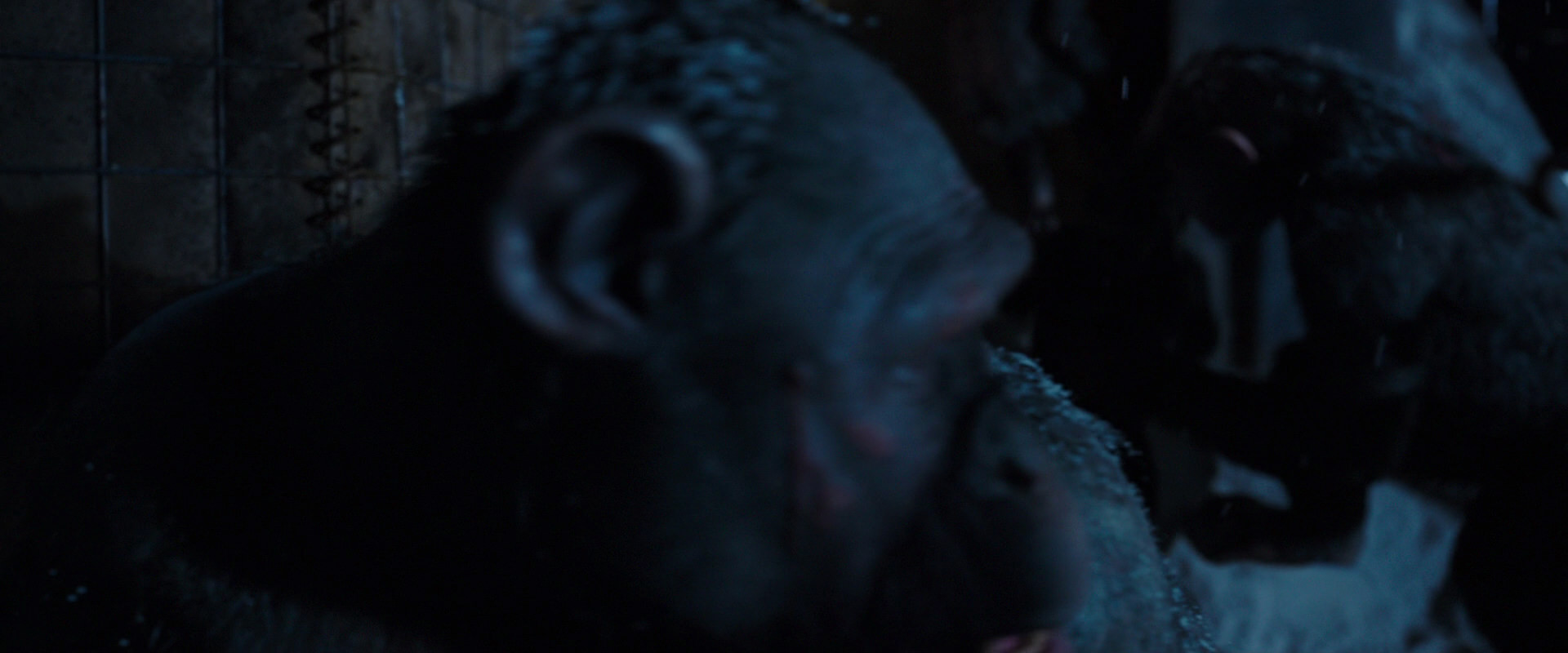 War for the Planet of the Apes (2017) screencap 12984
