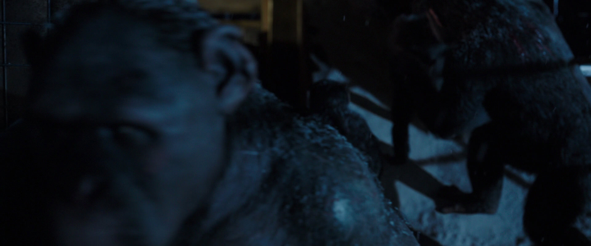 War for the Planet of the Apes (2017) movie still 12985