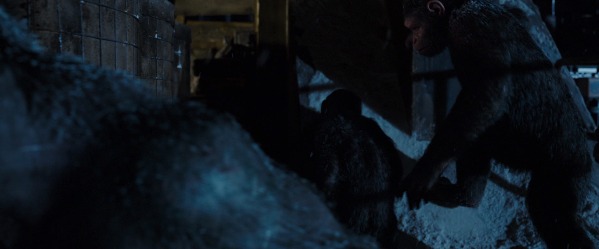 War for the Planet of the Apes (2017) screencap 12987