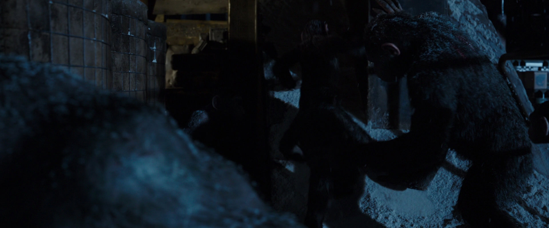 War for the Planet of the Apes (2017) movie still 12988