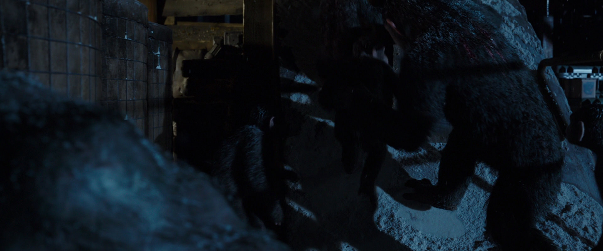 War for the Planet of the Apes (2017) HD screenshot 12989