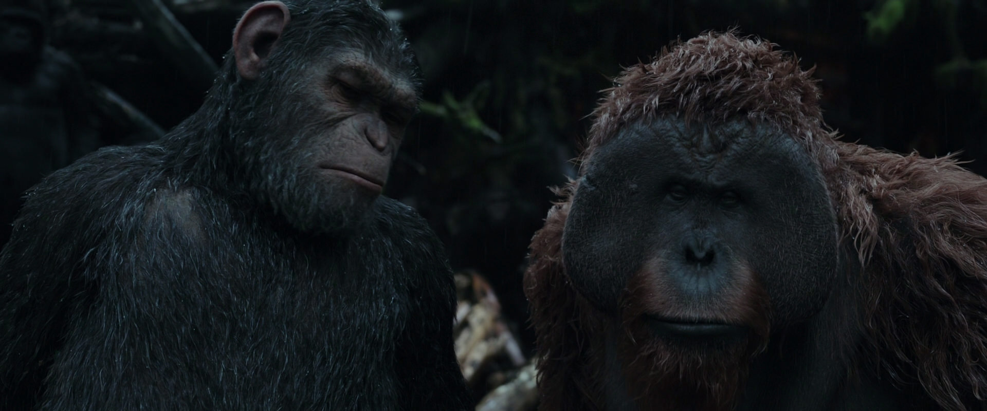 War for the Planet of the Apes (2017) screencap 1299