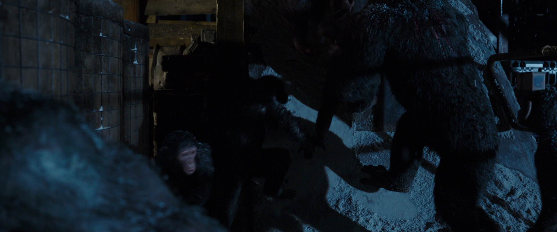 War for the Planet of the Apes (2017) screencap 12990