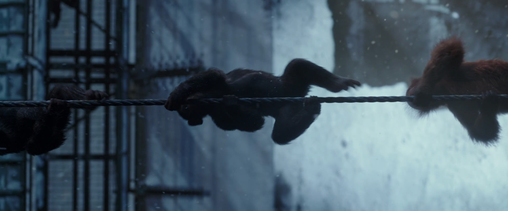 War for the Planet of the Apes (2017) screencap 12996