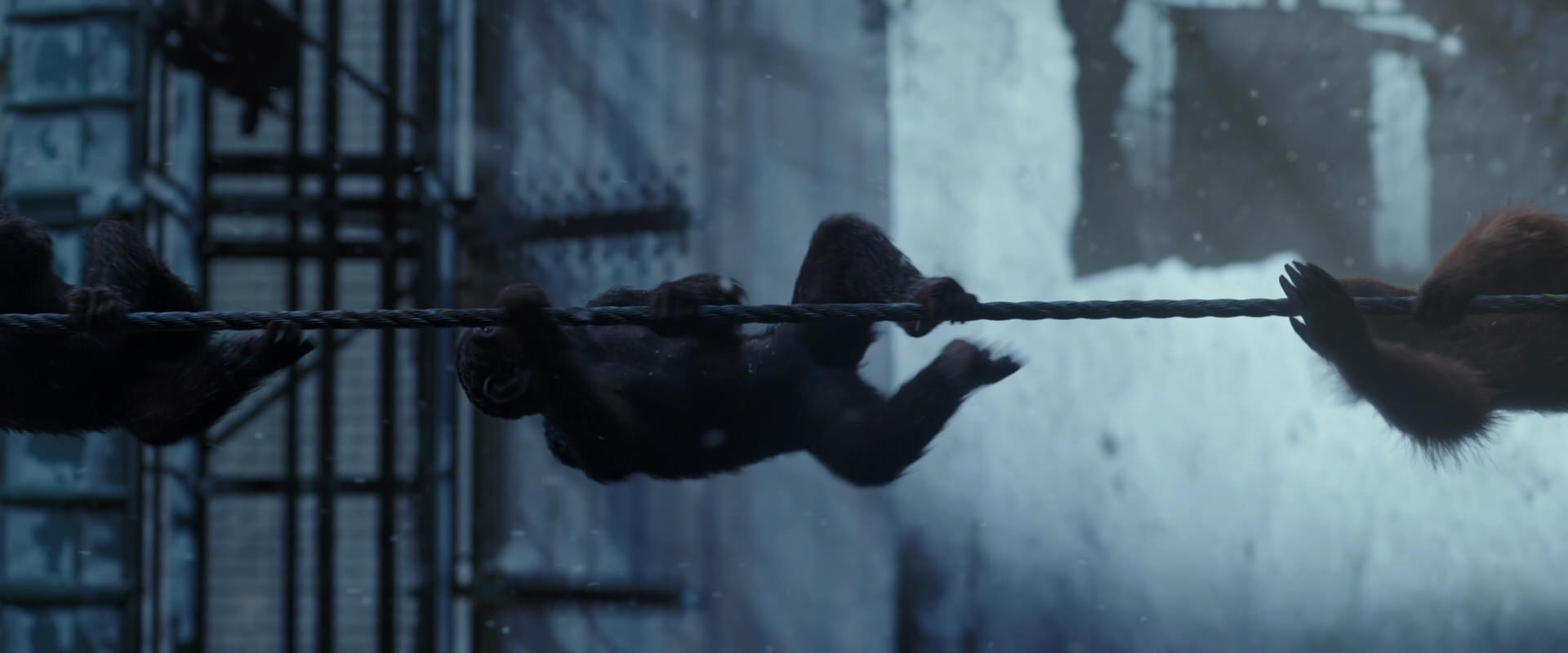 War for the Planet of the Apes (2017) movie still 12997