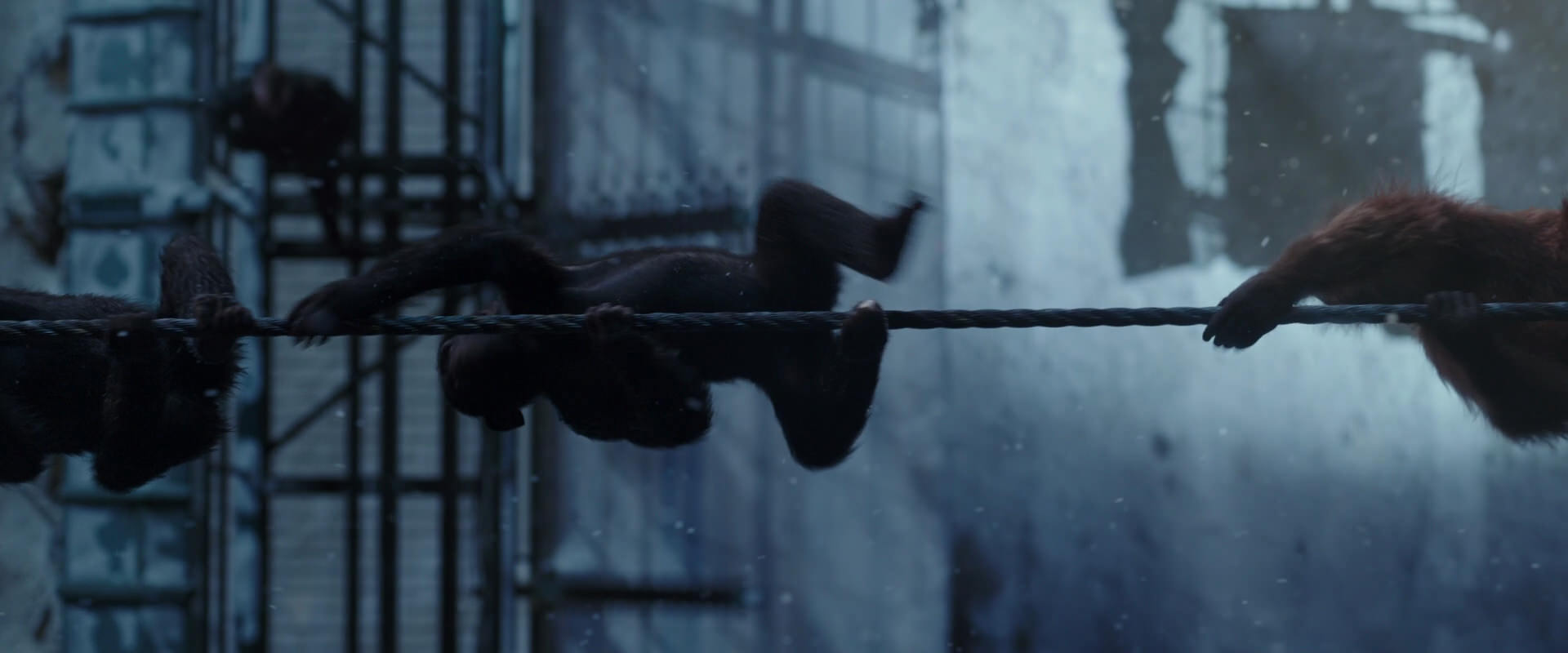War for the Planet of the Apes (2017) HD screenshot 12998