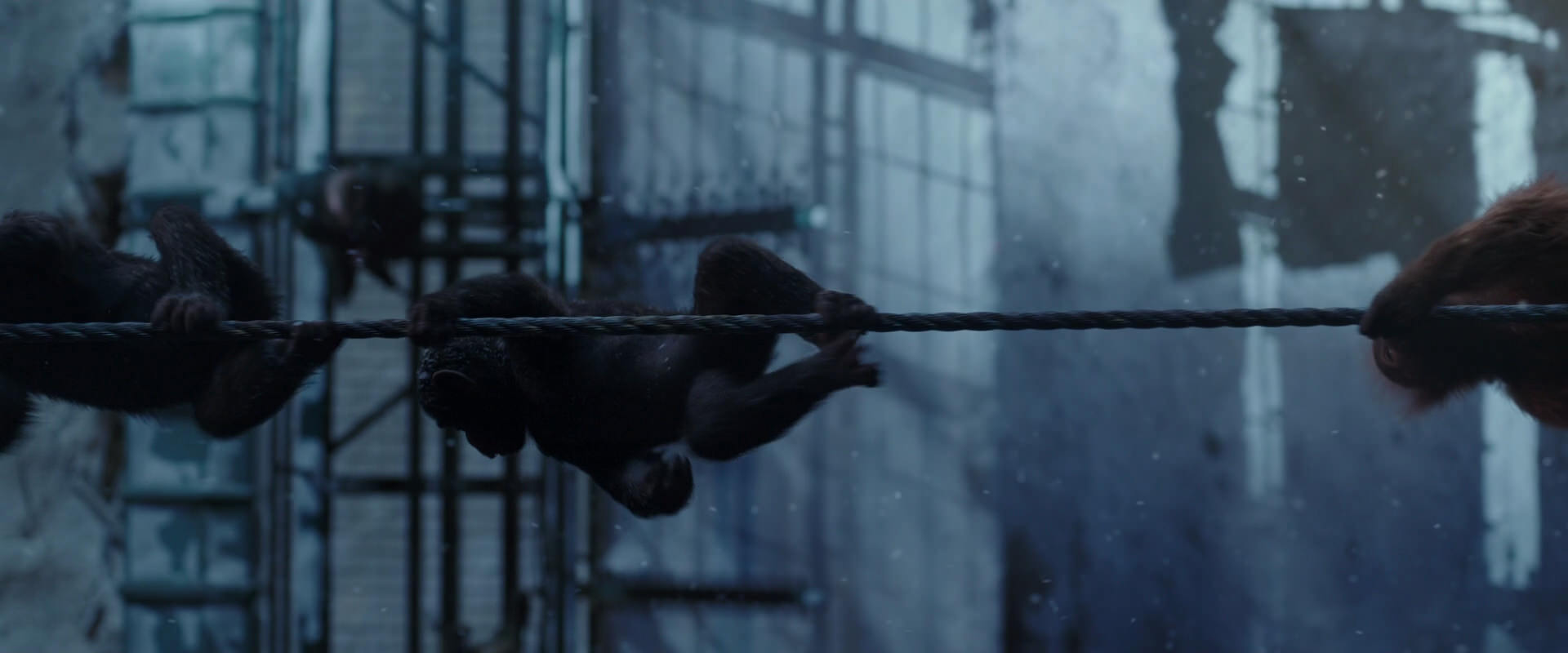 War for the Planet of the Apes (2017) screencap 12999