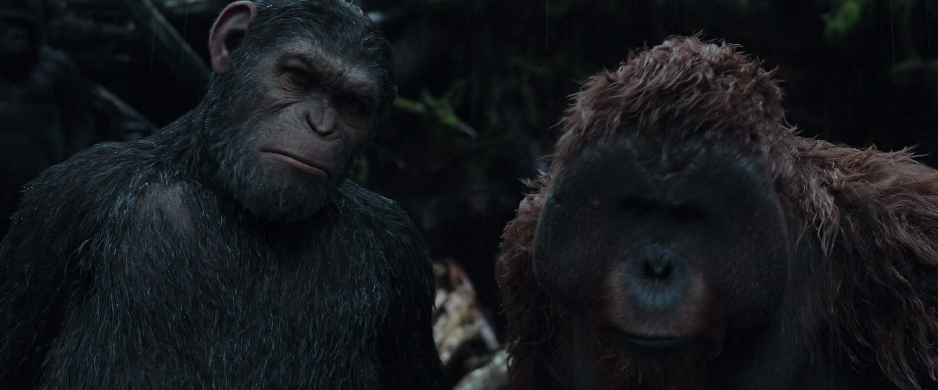 War for the Planet of the Apes (2017) movie still 1300