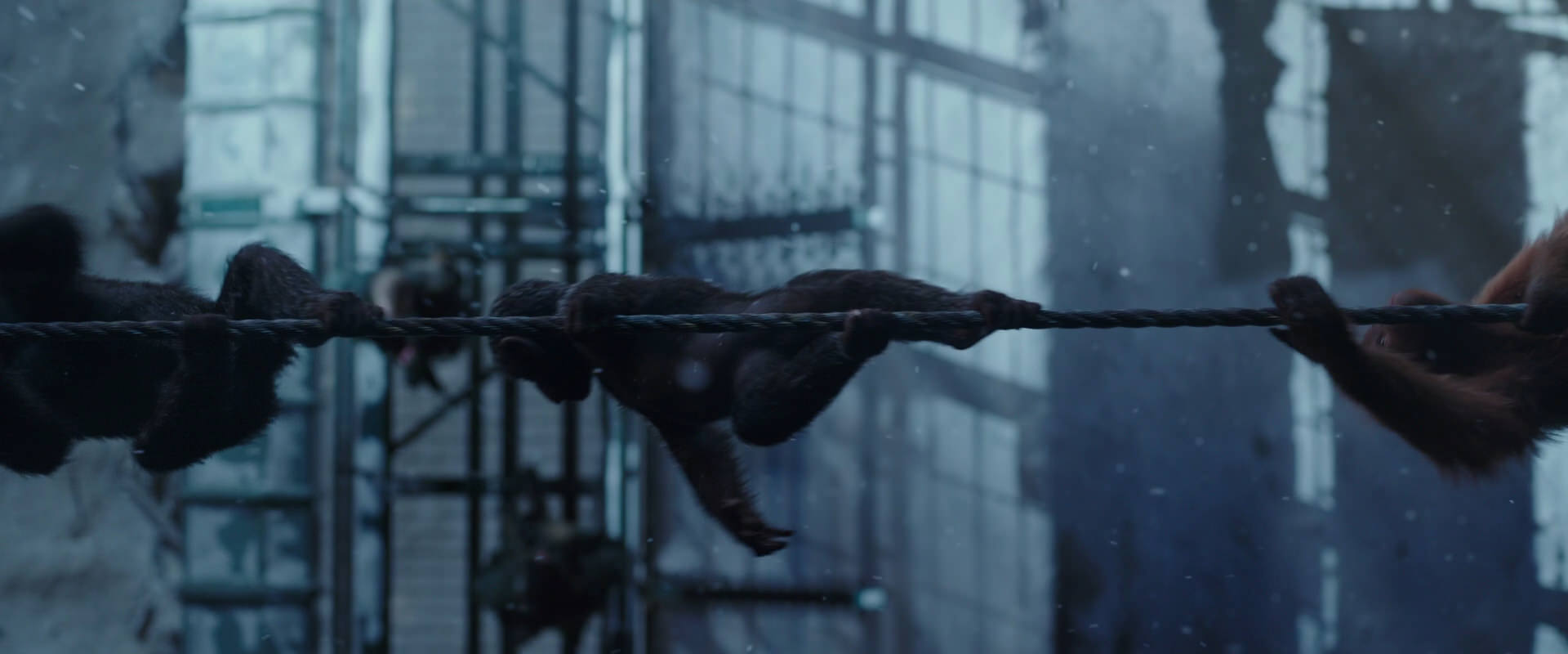 War for the Planet of the Apes (2017) movie still 13000