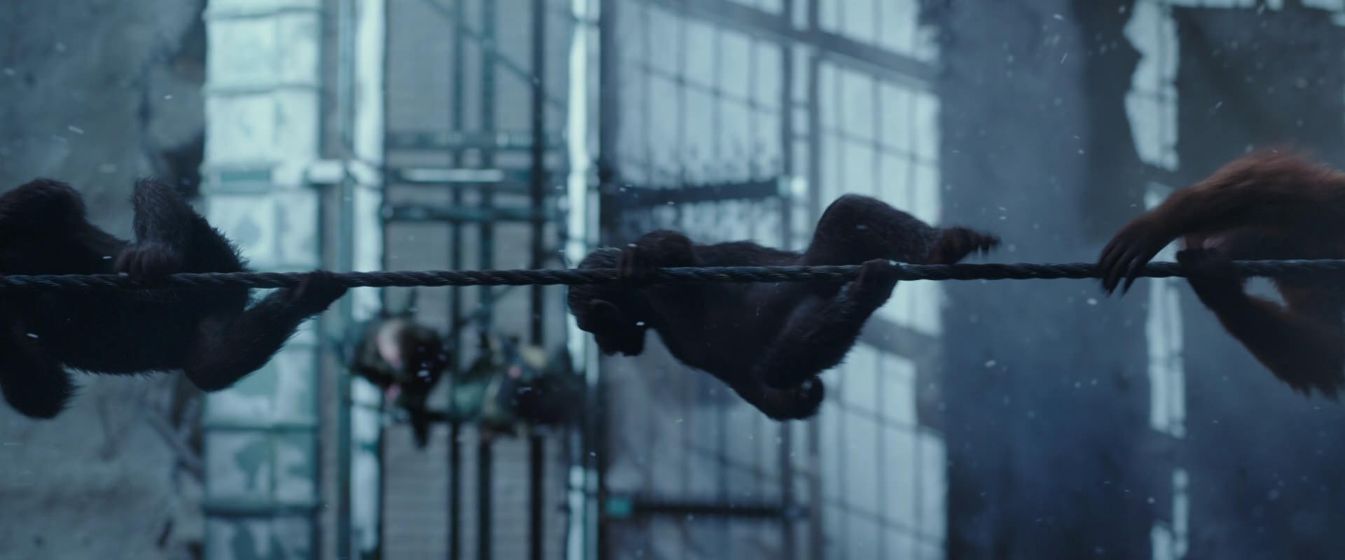 War for the Planet of the Apes (2017) HD screenshot 13001