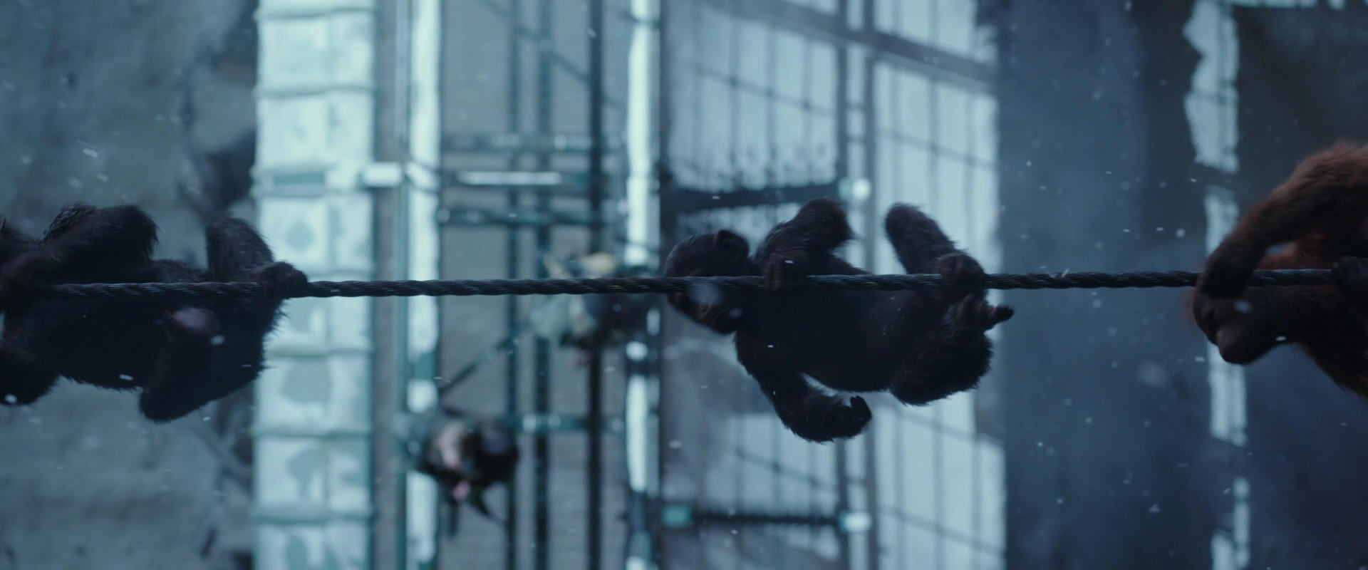 War for the Planet of the Apes (2017) screencap 13002