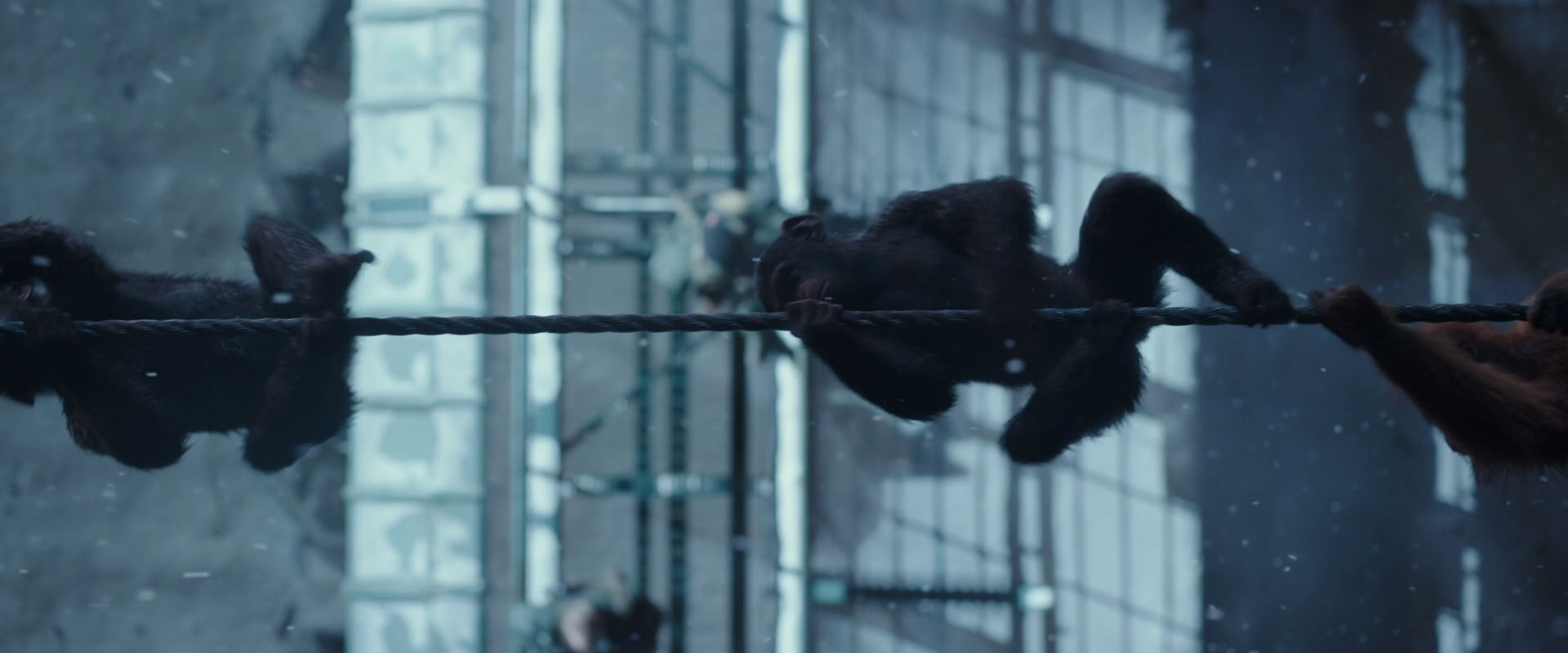 War for the Planet of the Apes (2017) movie still 13003