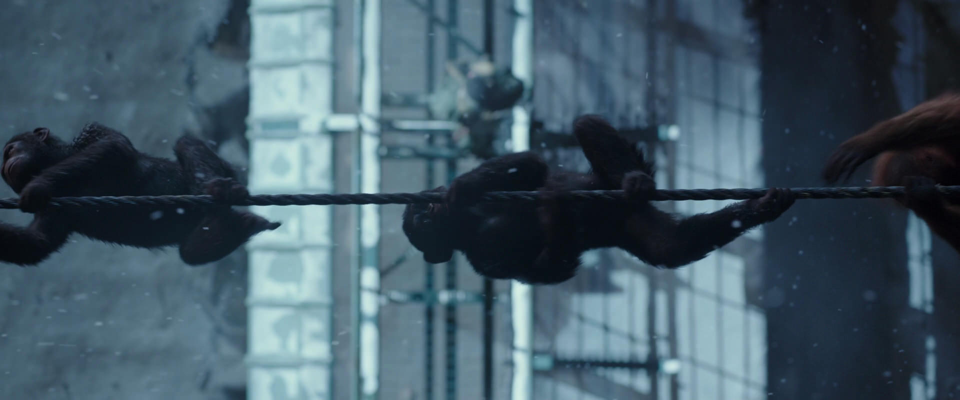 War for the Planet of the Apes (2017) HD screenshot 13004