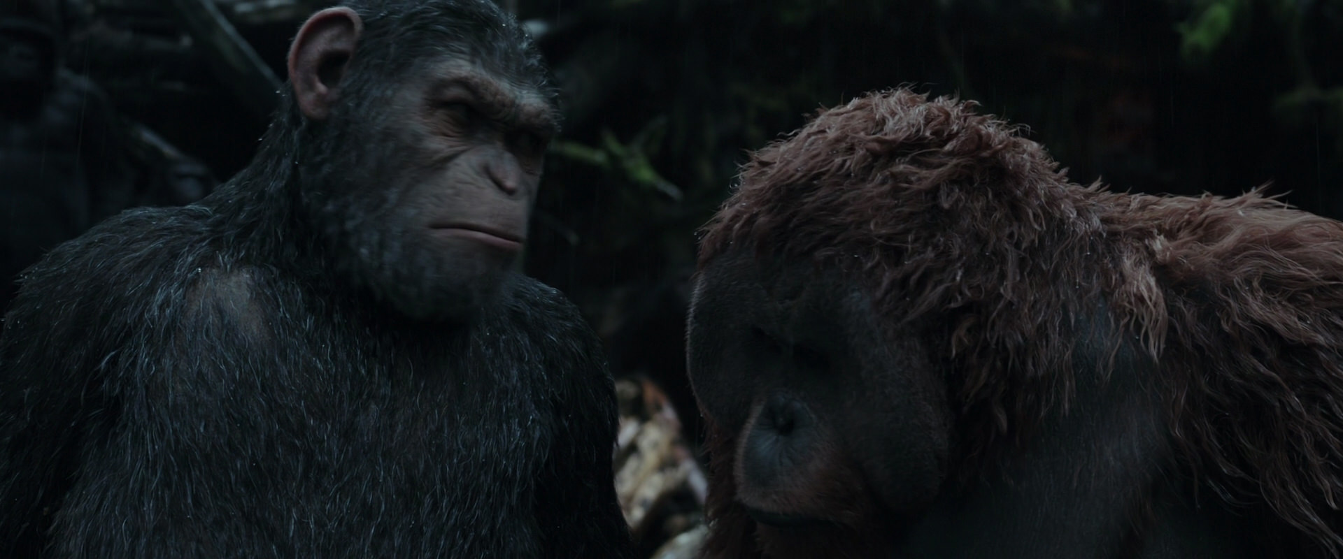 War for the Planet of the Apes (2017) HD screenshot 1301