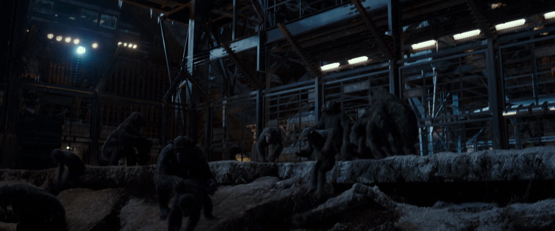 War for the Planet of the Apes (2017) movie still 13012