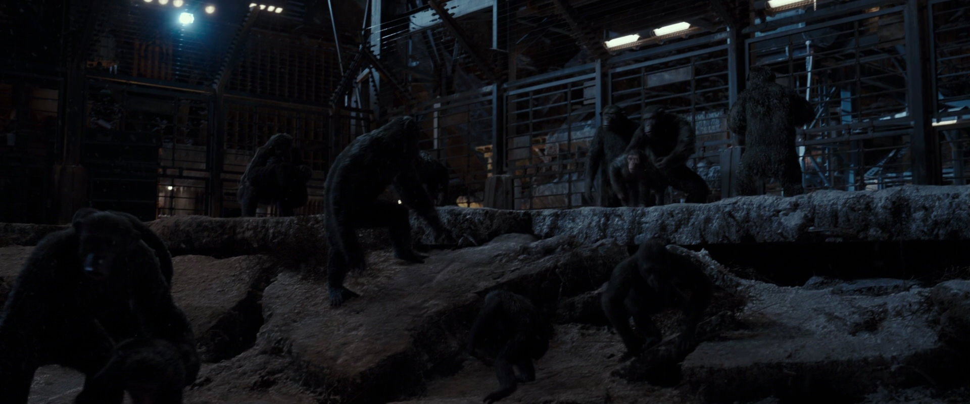 War for the Planet of the Apes (2017) screencap 13014