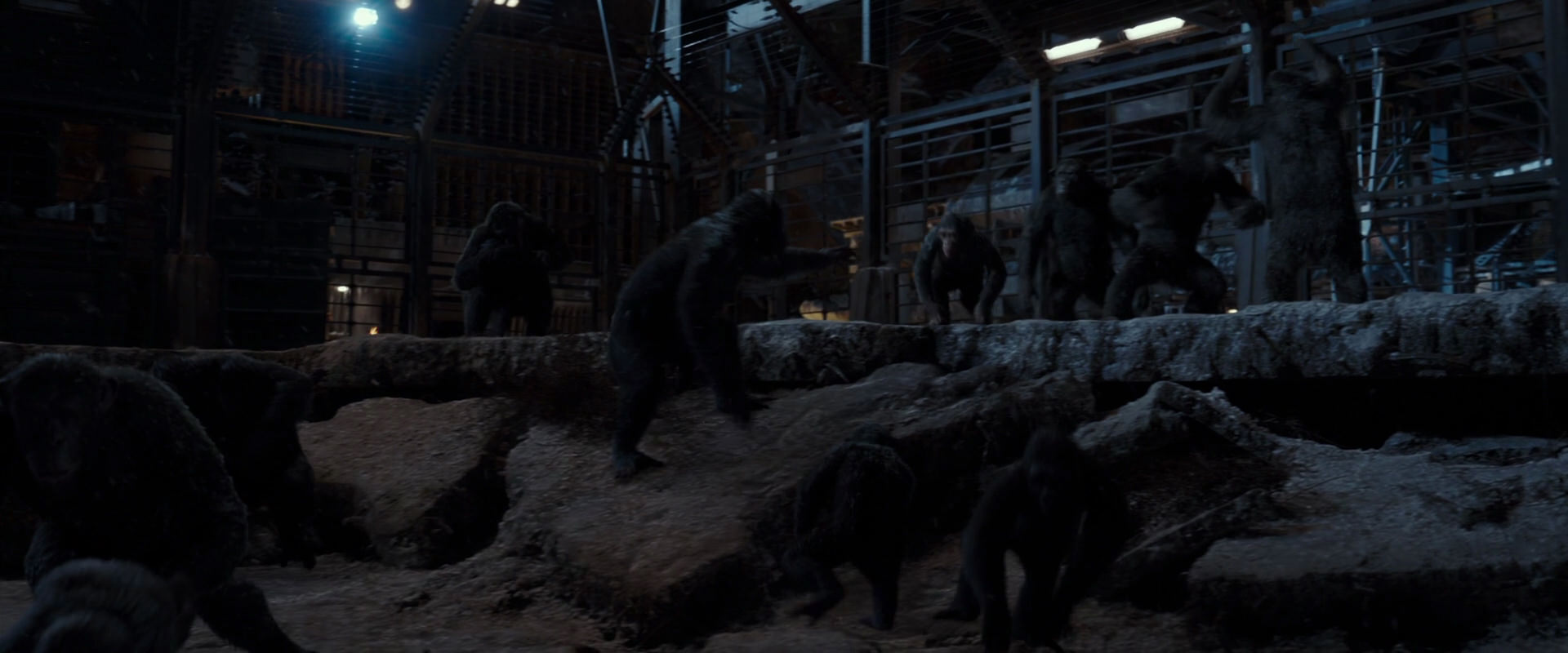 War for the Planet of the Apes (2017) movie still 13015