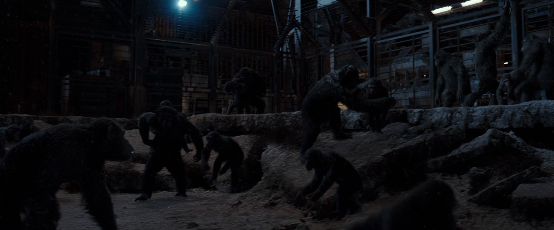 War for the Planet of the Apes (2017) screencap 13017