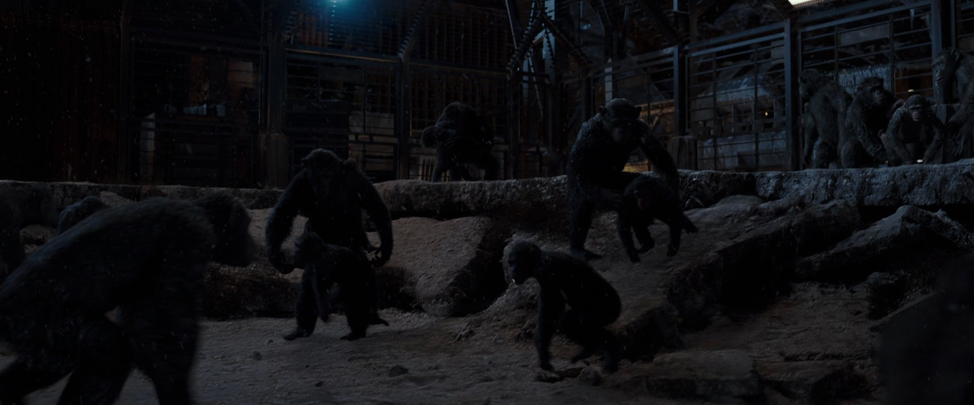 War for the Planet of the Apes (2017) movie still 13018