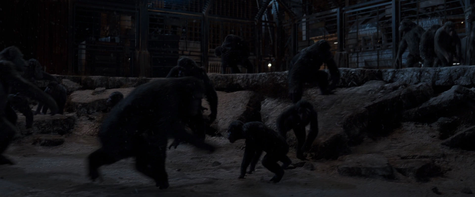 War for the Planet of the Apes (2017) HD screenshot 13019