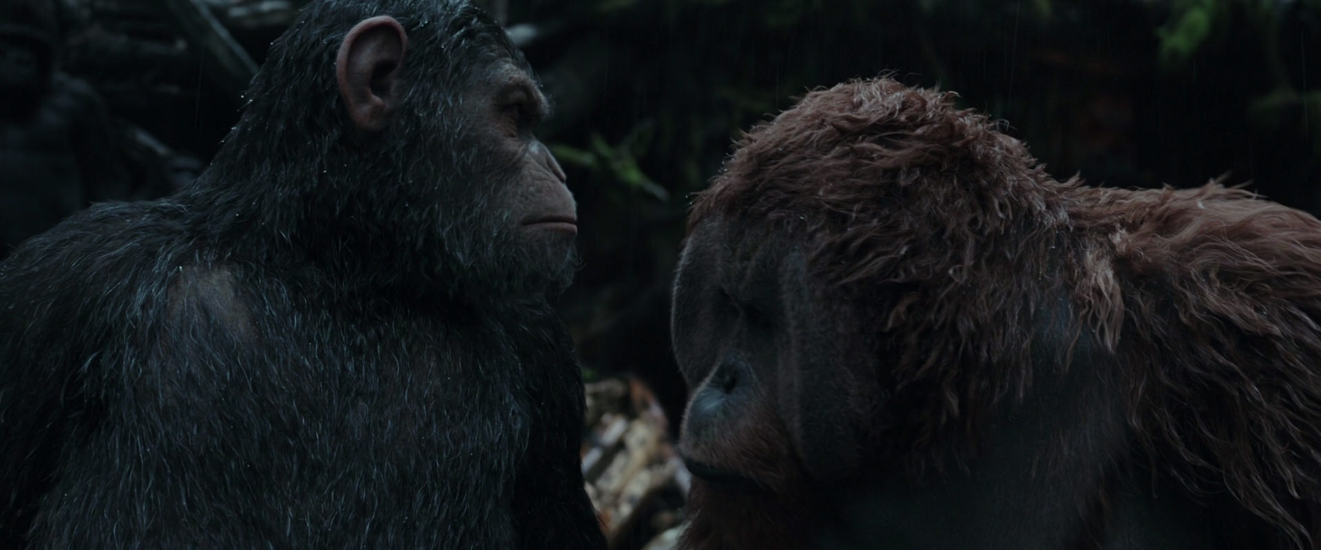 War for the Planet of the Apes (2017) screencap 1302