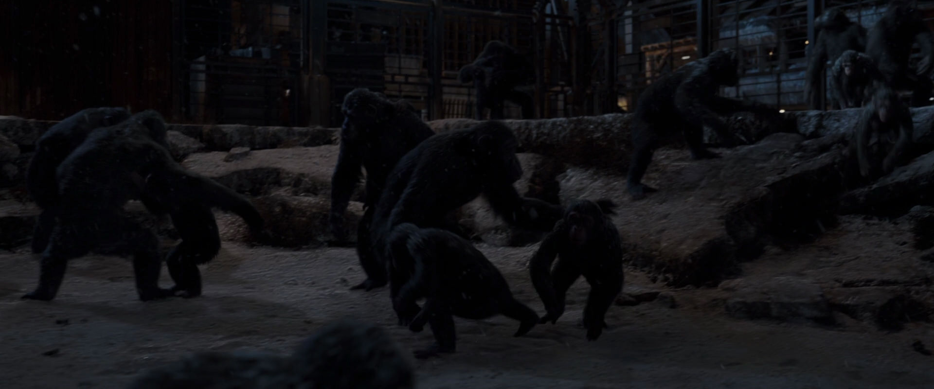 War for the Planet of the Apes (2017) screencap 13020