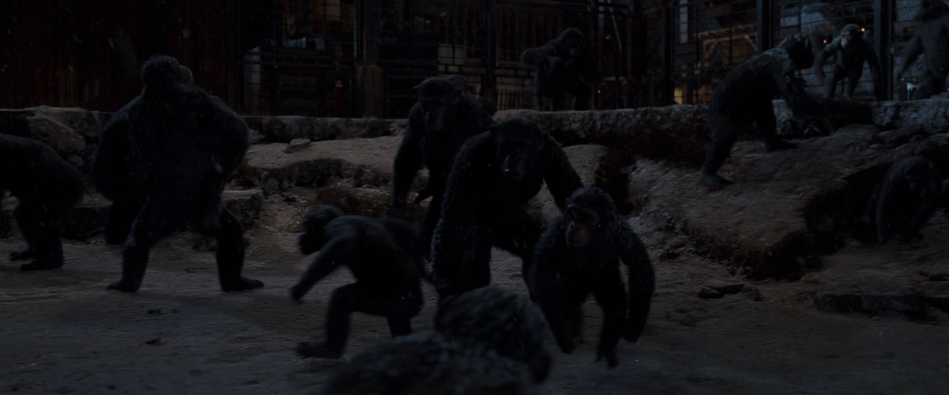War for the Planet of the Apes (2017) movie still 13021