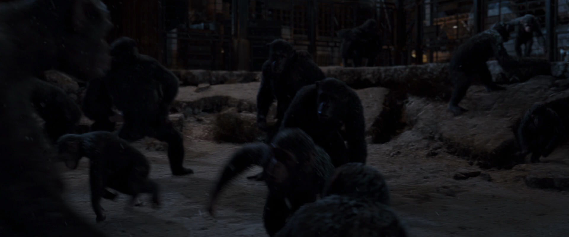 War for the Planet of the Apes (2017) HD screenshot 13022