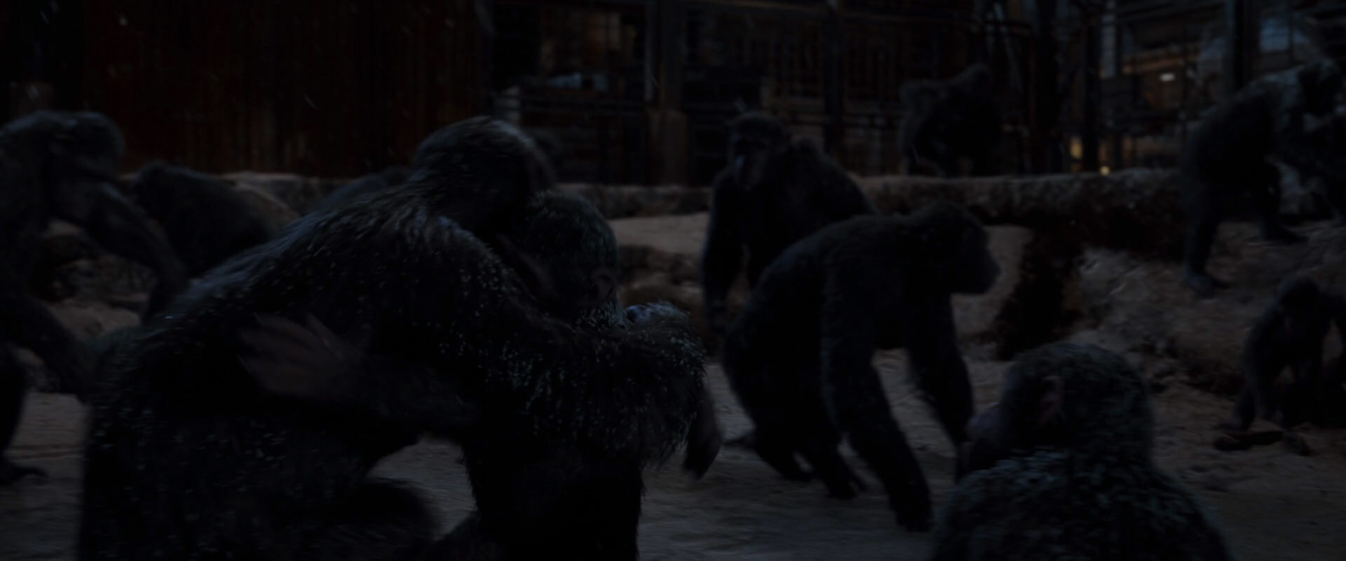 War for the Planet of the Apes (2017) screencap 13023