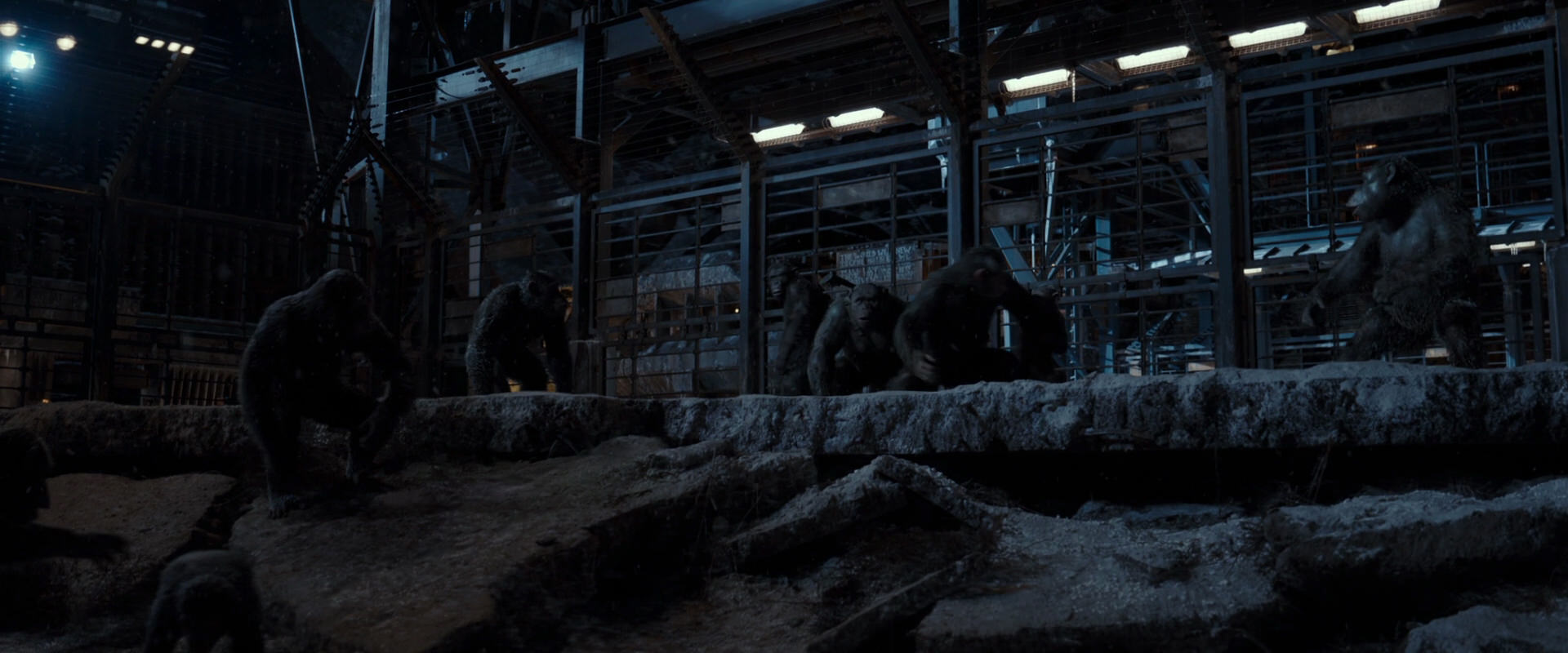 War for the Planet of the Apes (2017) screencap 13029