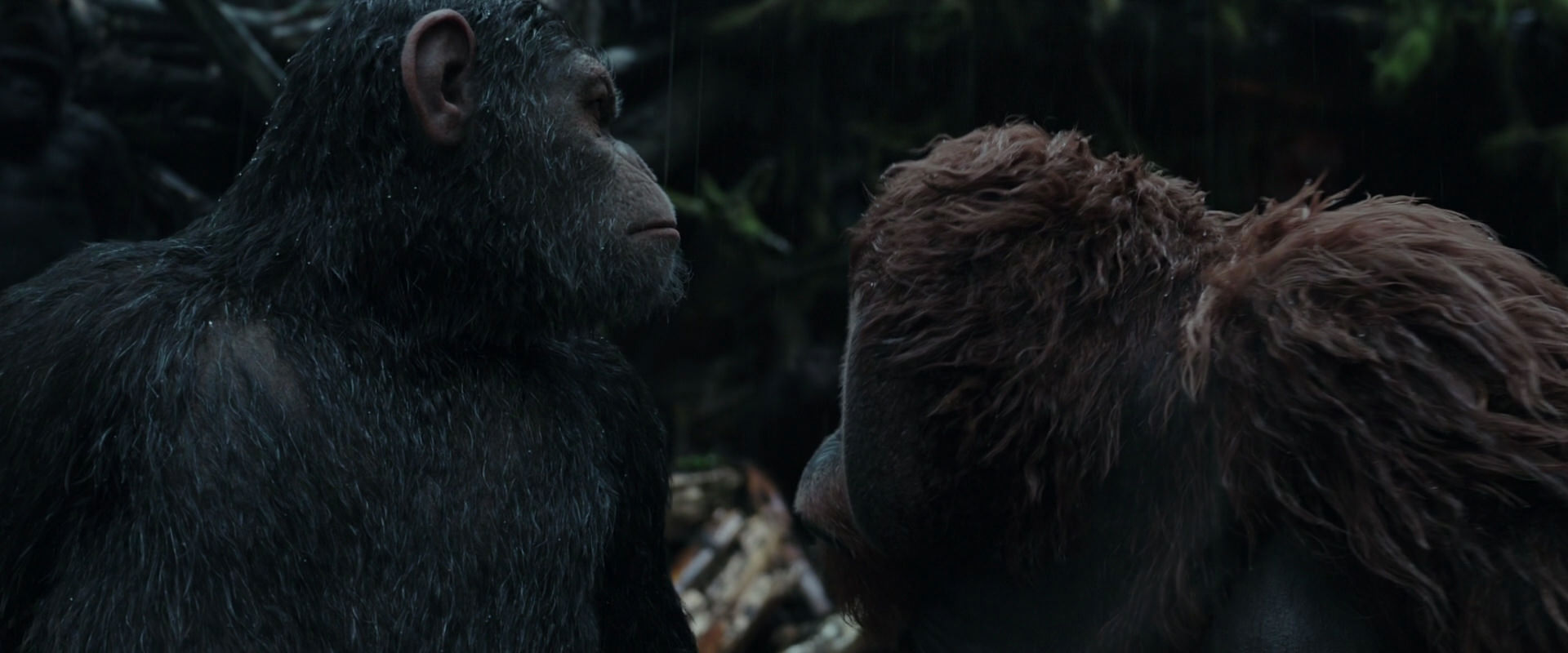 War for the Planet of the Apes (2017) movie still 1303