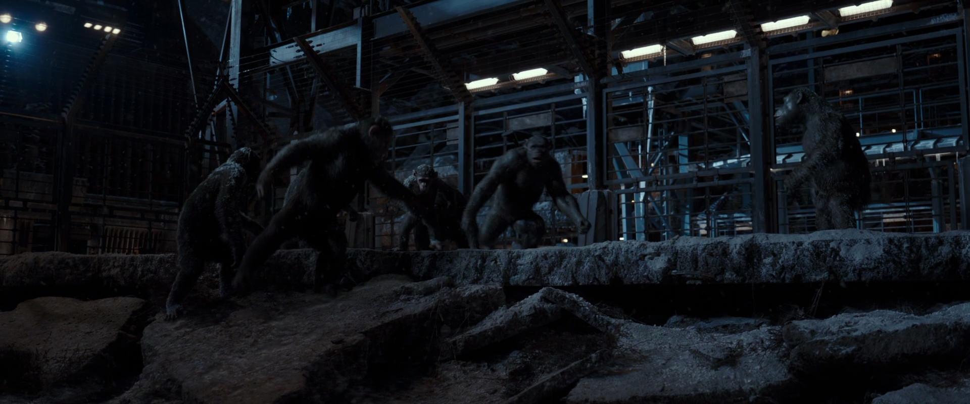 War for the Planet of the Apes (2017) movie still 13033