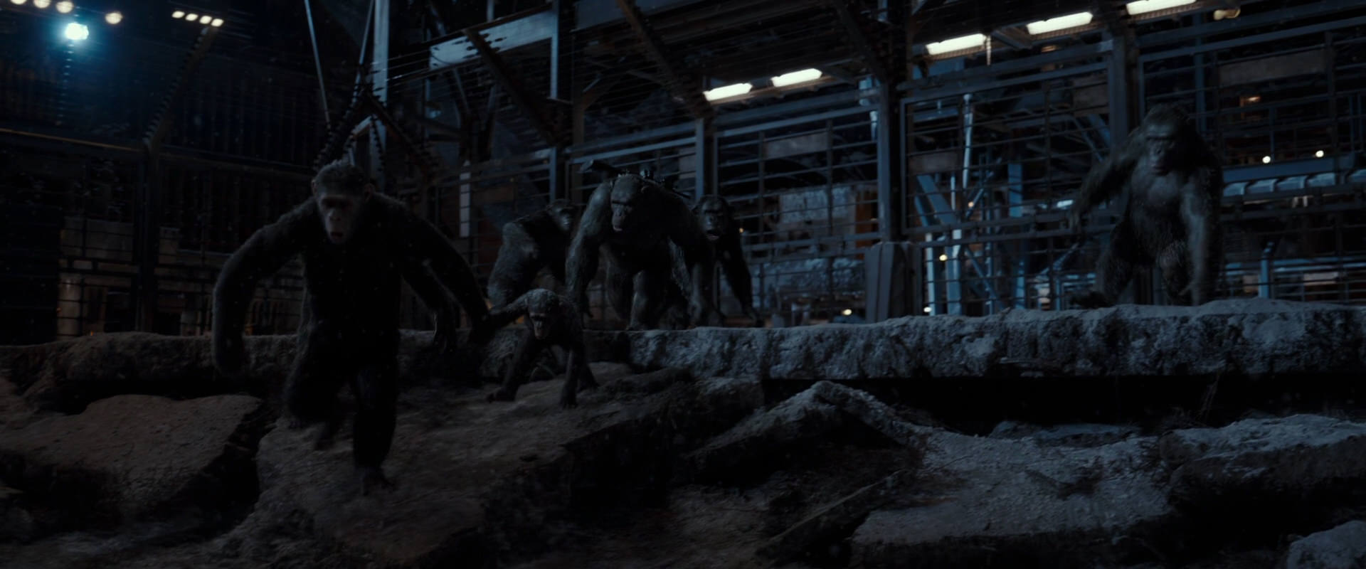 War for the Planet of the Apes (2017) screencap 13035