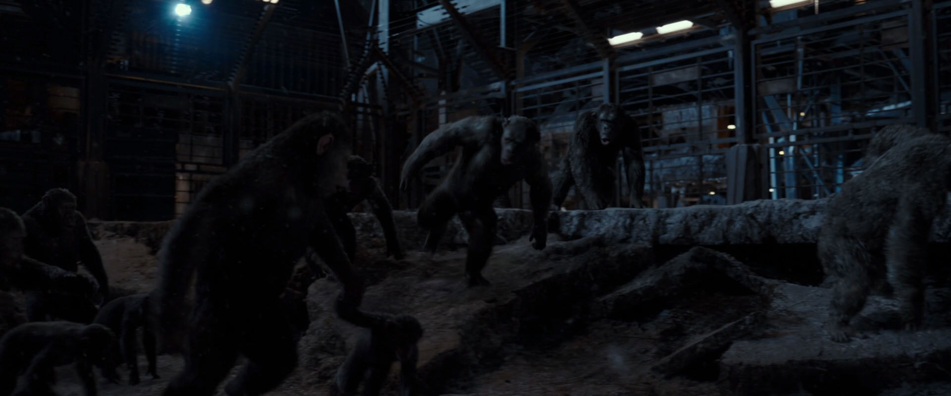 War for the Planet of the Apes (2017) HD screenshot 13037