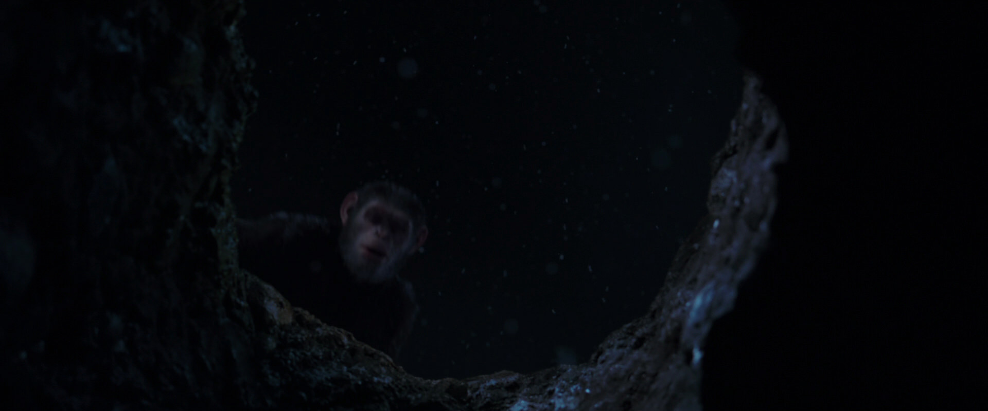 War for the Planet of the Apes (2017) screencap 13038